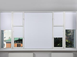 Best Window Coverings for Privacy | Master Blinds - Somfy Motorized Expert