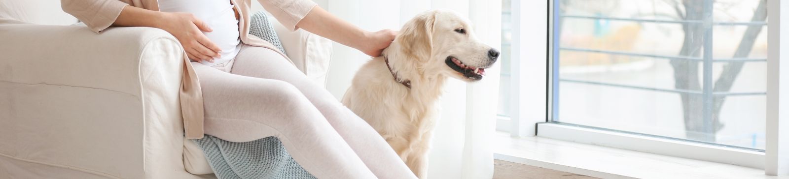 Child and Pet-Friendly Window Treatments